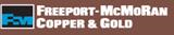 Freeport Indonesia Stakeholder Analysis
